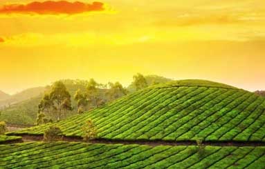 assam tour