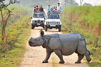 Kaziranga Tour 1Night / 2 Day