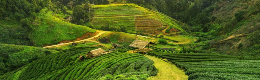 places in assam