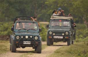 Kaziranga Safari Adventure Tour