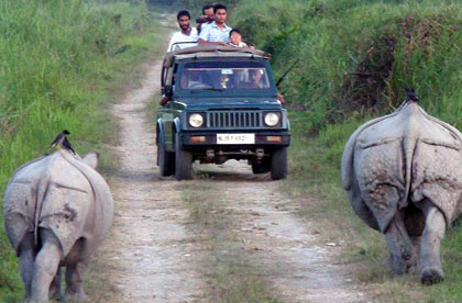 Kaziranga jeep safari