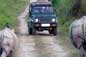 Kaziranga Rhino Discovery Tour