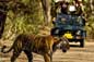 Kaziranga Wildlife Holiday Tour