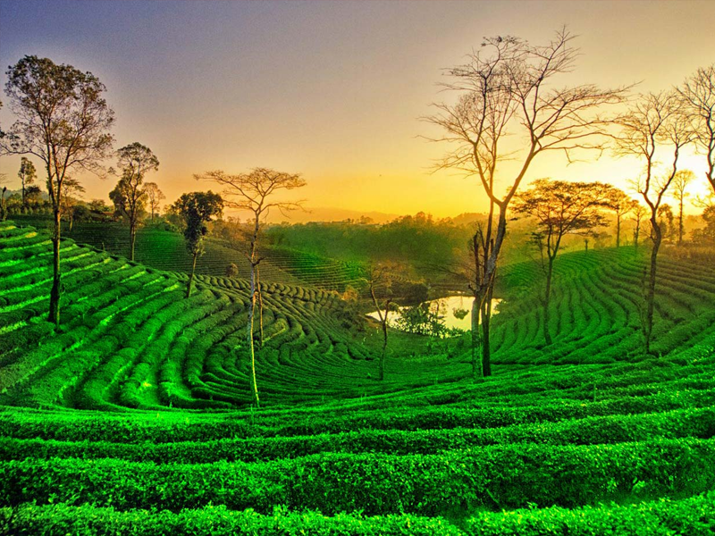 Guwahati Mawlynnong Dawki